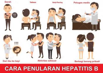 C:\Users\PutraPacitan\Downloads\Documents\Cara-Penularan-Hepatitis-B-1024x731.jpg
